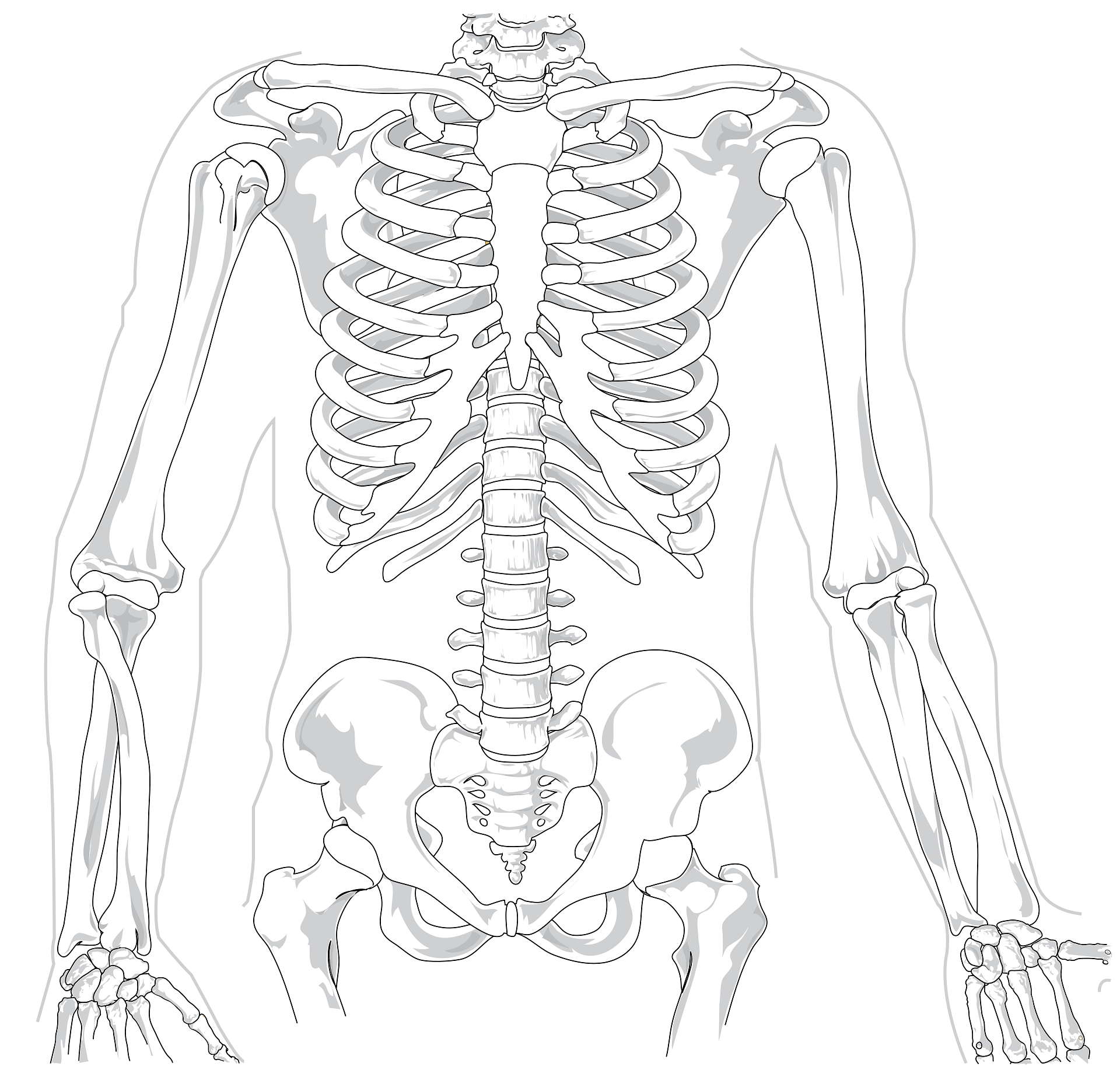 Orthopedics